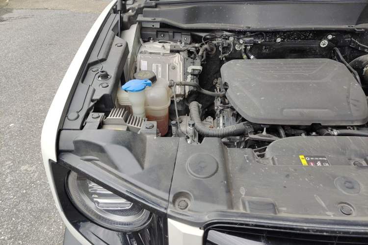Used Haval DARGO 2022 1.5T DCT Two-Wheel Drive Border Collie Edition Engine Bay Right