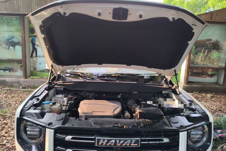 Used Haval DARGO 2022 1.5T DCT Two-Wheel Drive Border Collie Edition Engine Bay