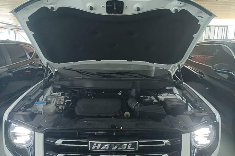 Used Haval DARGO 2022 1.5T DCT Two-Wheel Drive Border Collie Edition Engine Bay