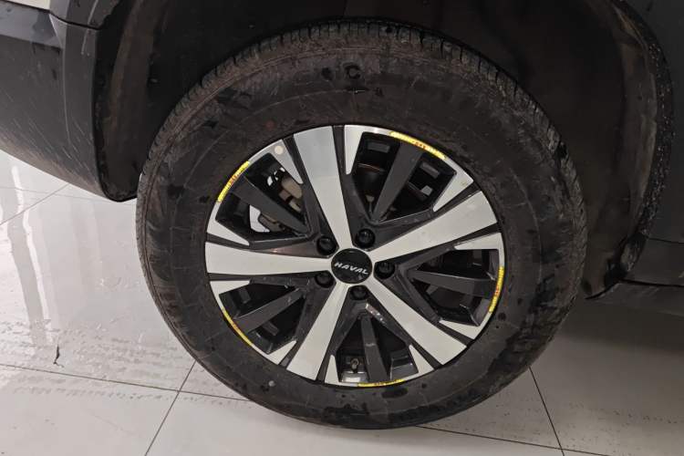 Used Haval DARGO 2022 1.5T DCT Two-Wheel Drive Labrador Edition Exterior 5