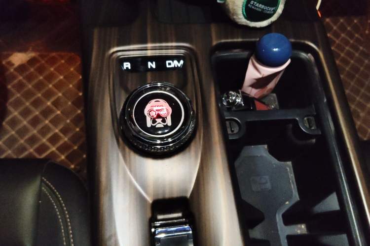 Used Haval DARGO 2022 2.0T DCT All-Wheel-Drive Xiaotianque Version Gear Lever