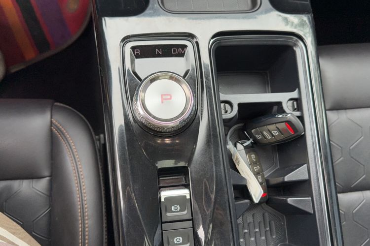 Used Haval DARGO 2022 2.0T DCT 4x4 Chinese Rural Dog Edition Gear Lever