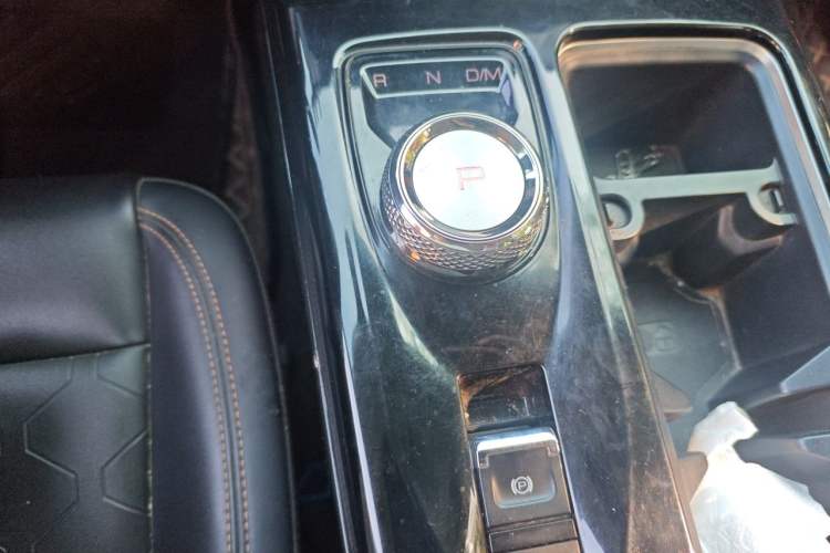 Used Haval DARGO 2022 2.0T DCT Two-Wheel Drive Huazhong Hound Edition Gear Lever