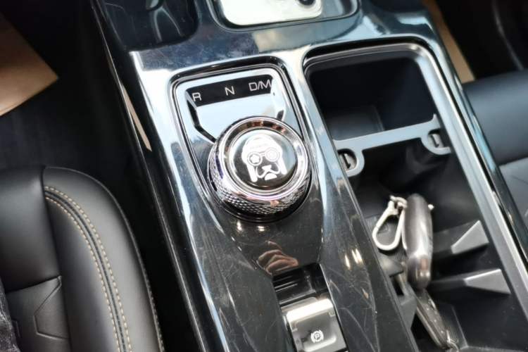 Used Haval DARGO 2022 1.5T DCT Two-Wheel Drive Border Collie Edition Gear Lever