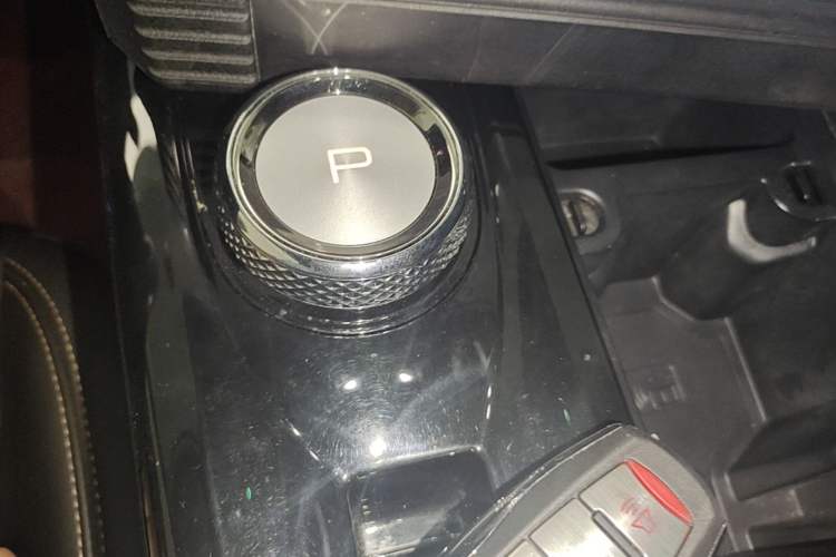 Used Haval DARGO 2022 2.0T DCT Two-Wheel Drive Huazhong Hound Edition Gear Lever