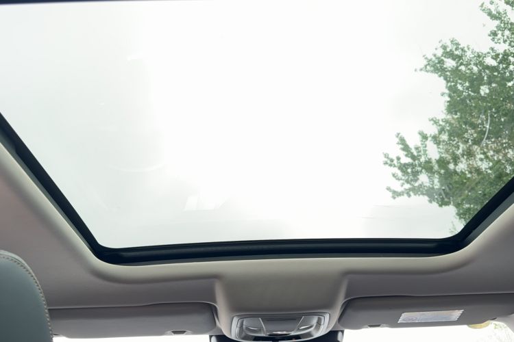 Used Haval DARGO 2022 2.0T DCT 4x4 Chinese Rural Dog Edition Headliner