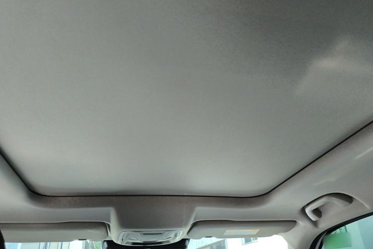 Used Haval DARGO 2022 2.0T DCT 4x4 Chinese Rural Dog Edition Headliner