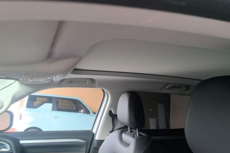 Used Haval DARGO 2022 2.0T DCT 4x4 Chinese Rural Dog Edition Headliner