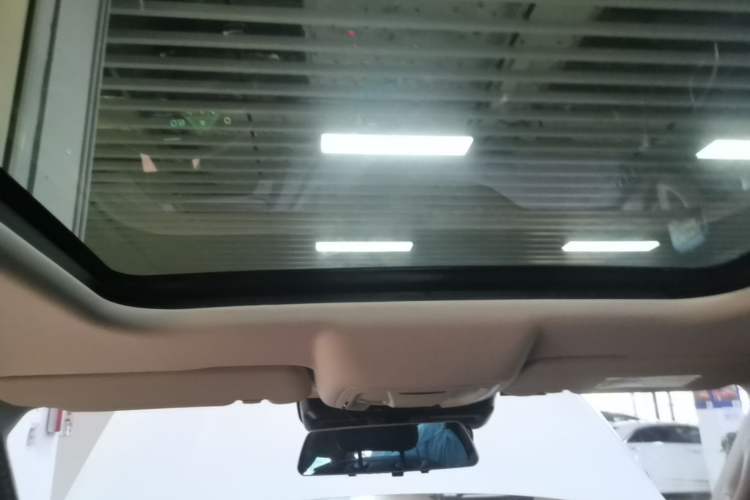 Used Haval DARGO 2022 2.0T DCT 4x4 Chinese Rural Dog Edition Headliner