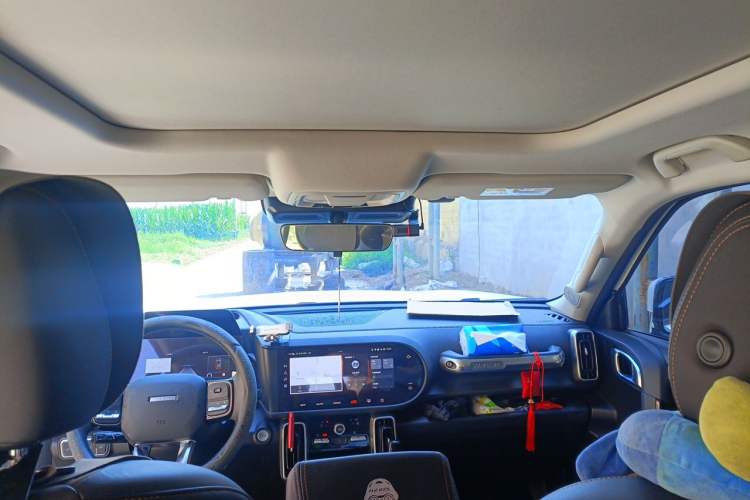 Used Haval DARGO 2022 1.5T DCT Two-Wheel Drive Border Collie Edition Headliner