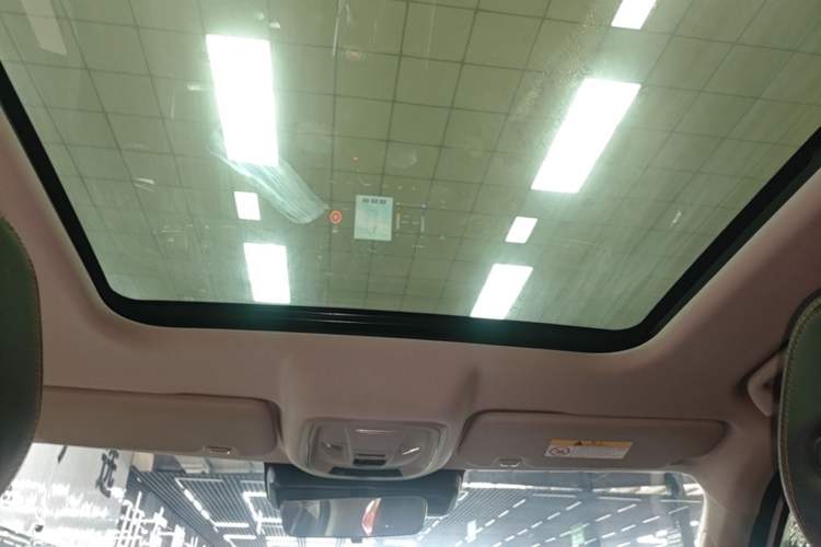 Used Haval DARGO 2022 1.5T DCT Two-Wheel Drive Border Collie Edition Headliner