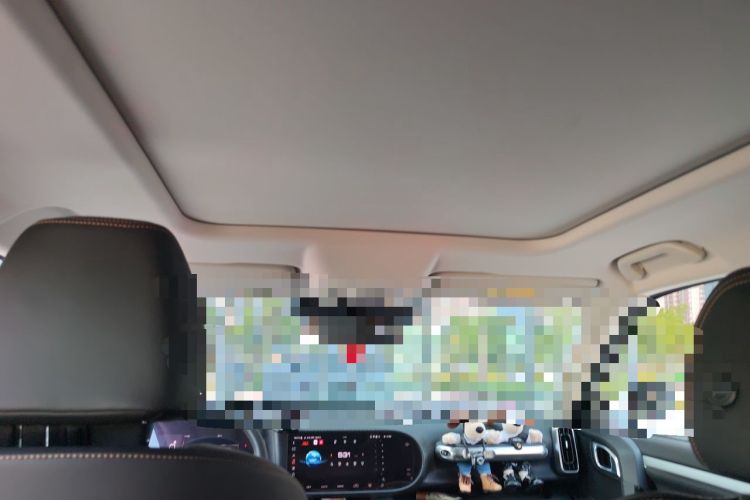Used Haval DARGO 2022 1.5T DCT Two-Wheel Drive Mastiff Edition Headliner