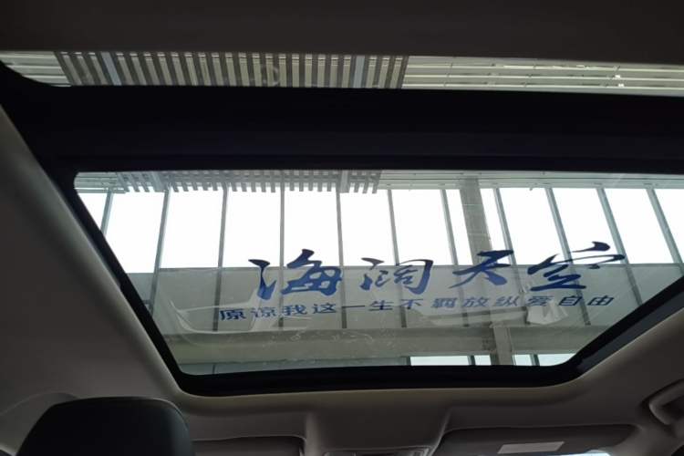 Used Haval DARGO 2022 2.0T DCT 4x4 Chinese Rural Dog Edition Headliner