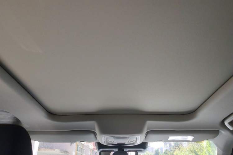 Used Haval DARGO 2022 2.0T DCT 4x4 Chinese Rural Dog Edition Headliner