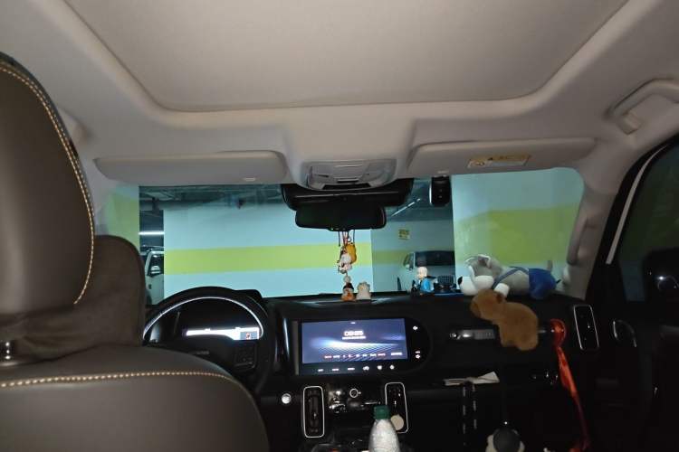 Used Haval DARGO 2022 2.0T DCT All-Wheel-Drive Xiaotianque Version Headliner