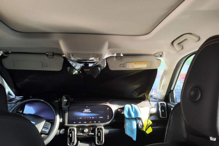 Used Haval DARGO 2022 1.5T DCT Two-Wheel Drive Border Collie Edition Headliner
