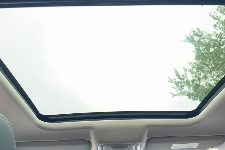 Used Haval DARGO 2022 2.0T DCT 4x4 Chinese Rural Dog Edition Headliner