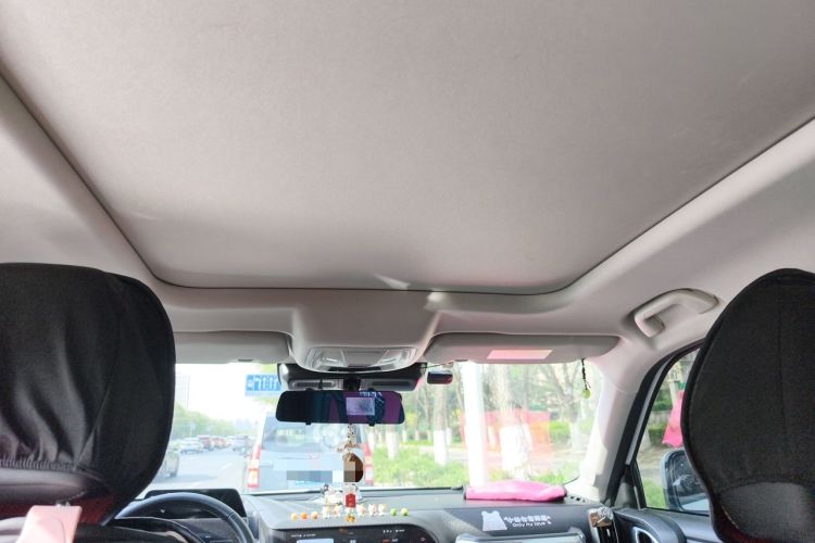 Used Haval DARGO 2022 1.5T DCT Two-Wheel Drive Labrador Edition Headliner