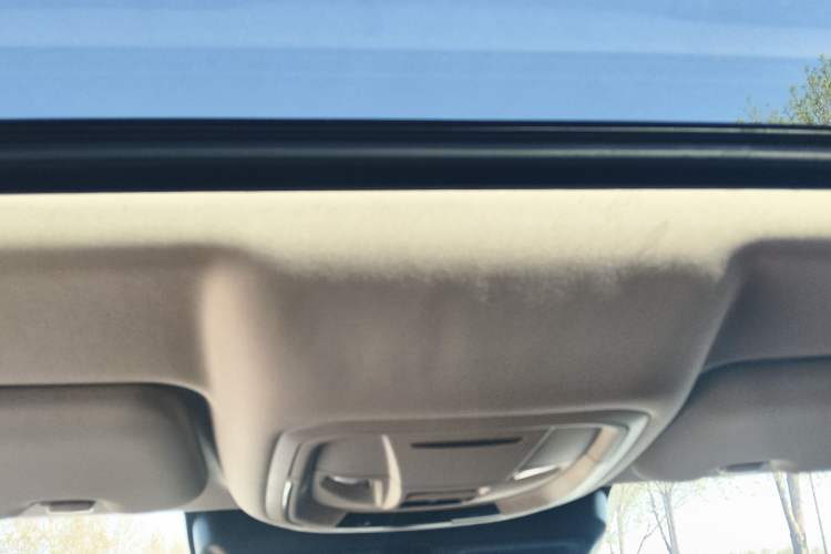 Used Haval DARGO 2022 2.0T DCT 4x4 Chinese Rural Dog Edition Headliner