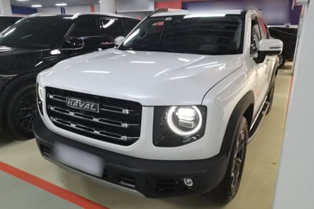 Used Haval DARGO 2022 2.0T DCT 4x4 Chinese Rural Dog Edition
