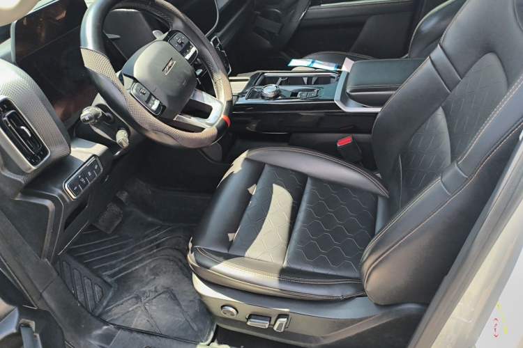Used Haval DARGO 2022 2.0T DCT 4x4 Chinese Rural Dog Edition Left Front Seat