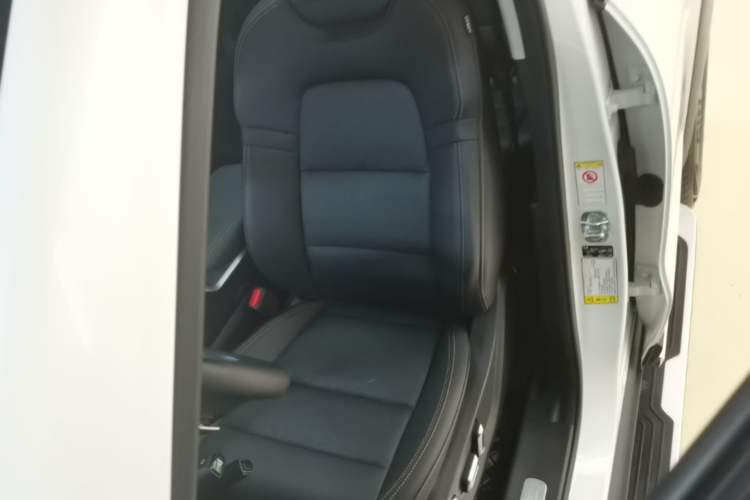 Used Haval DARGO 2022 2.0T DCT 4x4 Chinese Rural Dog Edition Left Front Seat
