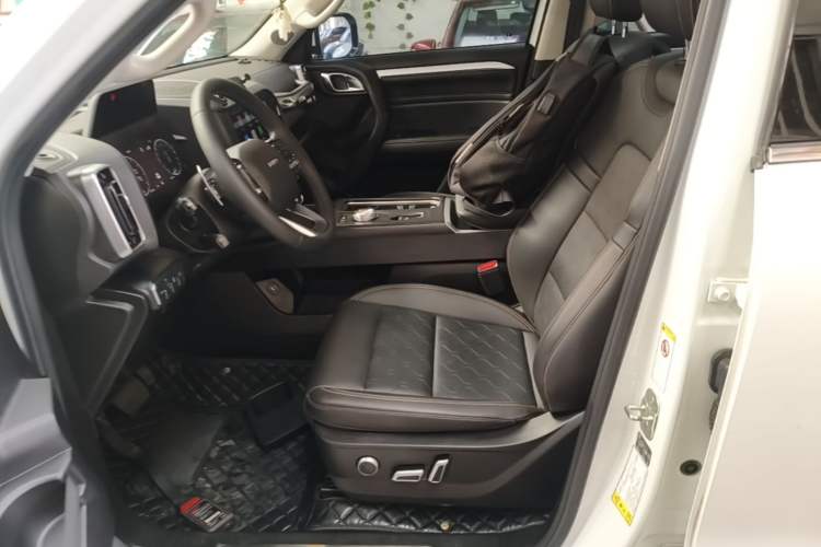 Used Haval DARGO 2022 2.0T DCT Two-Wheel Drive Huazhong Hound Edition Left Front Seat