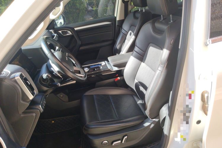 Used Haval DARGO 2022 2.0T DCT 4x4 Chinese Rural Dog Edition Left Front Seat