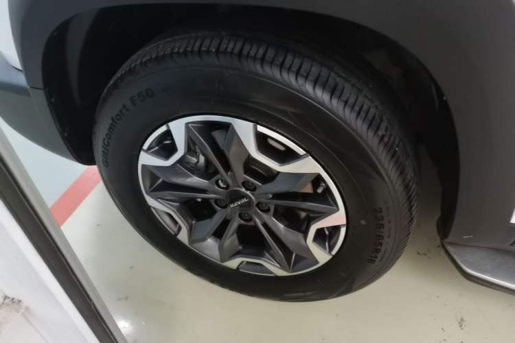 Used Haval DARGO 2022 2.0T DCT 4x4 Chinese Rural Dog Edition Left Front Wheel Hub