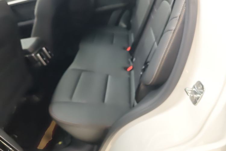 Used Haval DARGO 2022 1.5T DCT Two-Wheel Drive Border Collie Edition Left Rear Seat