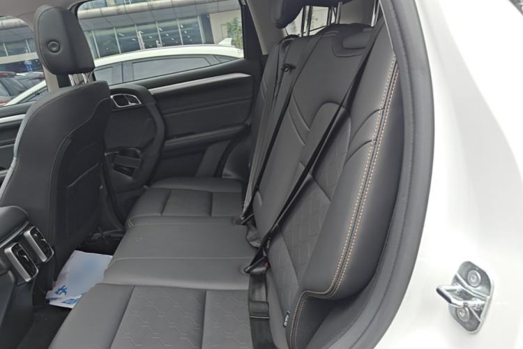 Used Haval DARGO 2022 2.0T DCT 4x4 Chinese Rural Dog Edition Left Rear Seat