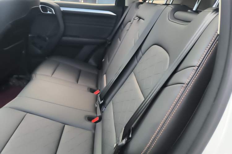 Used Haval DARGO 2022 1.5T DCT Two-Wheel Drive Border Collie Edition Left Rear Seat