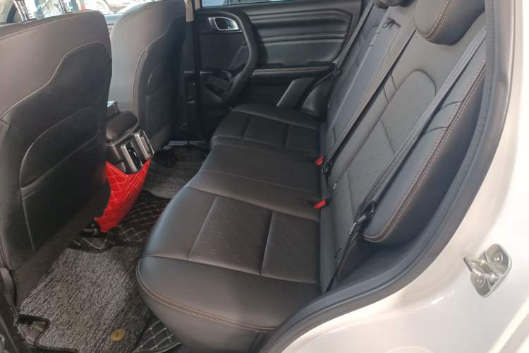 Used Haval DARGO 2022 1.5T DCT Two-Wheel Drive Labrador Edition Left Rear Seat