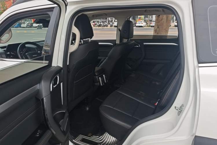 Used Haval DARGO 2022 1.5T DCT Two-Wheel Drive Border Collie Edition Left Rear Seat
