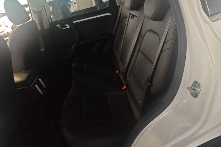 Used Haval DARGO 2022 1.5T DCT Two-Wheel Drive Border Collie Edition Left Rear Seat