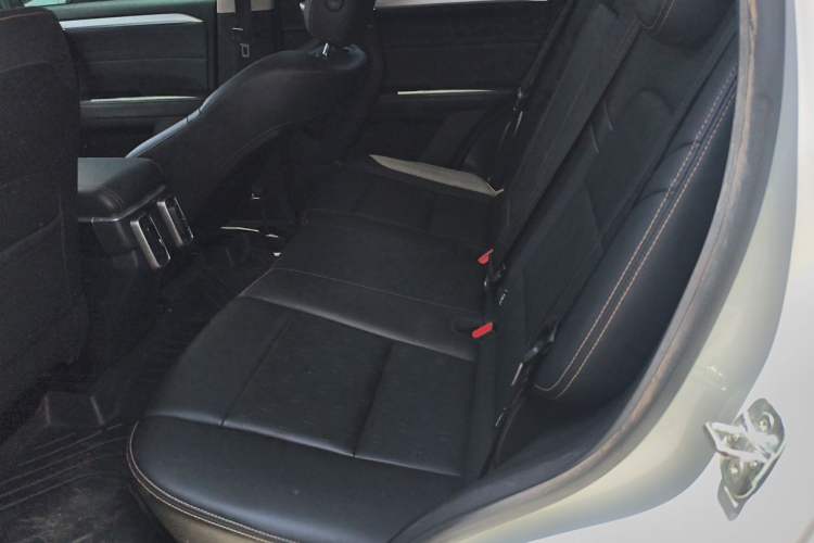 Used Haval DARGO 2022 2.0T DCT 4x4 Chinese Rural Dog Edition Left Rear Seat
