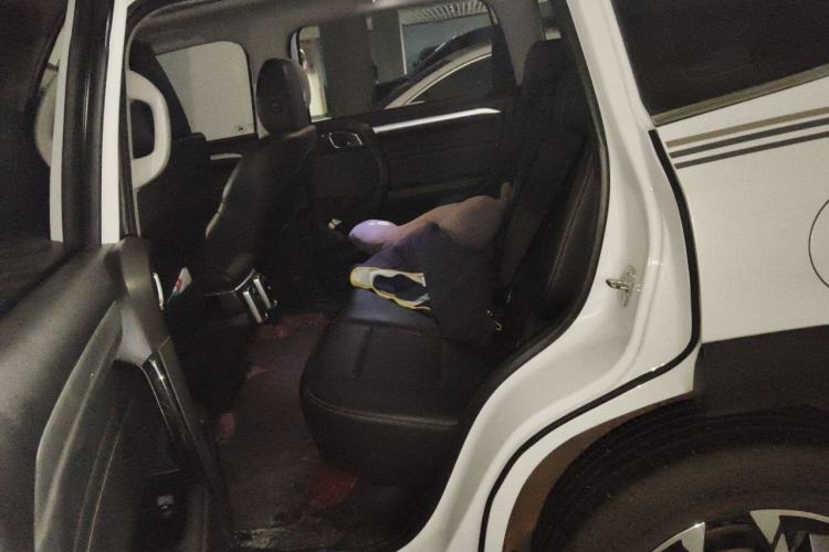 Used Haval DARGO 2022 1.5T DCT Two-Wheel Drive Border Collie Edition Left Rear Seat