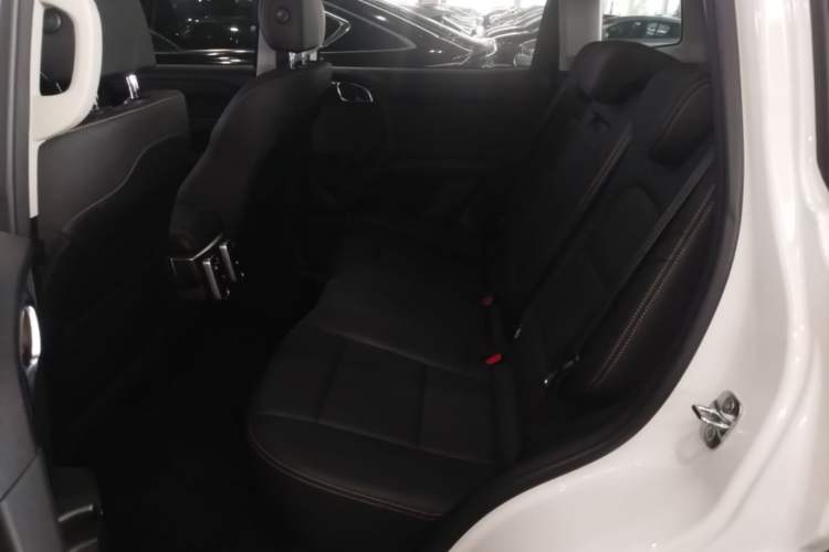 Used Haval DARGO 2022 1.5T DCT Two-Wheel Drive Labrador Edition Left Rear Seat