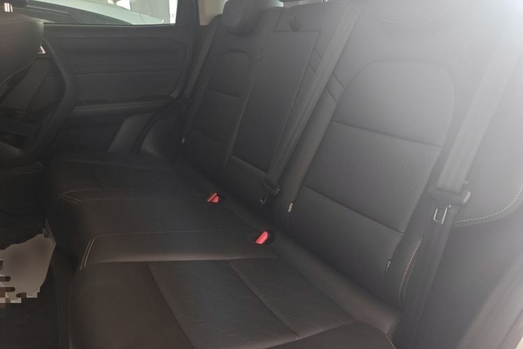 Used Haval DARGO 2022 1.5T DCT Two-Wheel Drive Border Collie Edition Left Rear Seat
