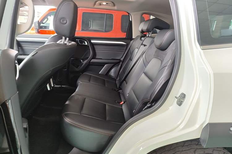 Used Haval DARGO 2022 2.0T DCT 4x4 Xiaotianquan Pursuit Edition Left Rear Seat