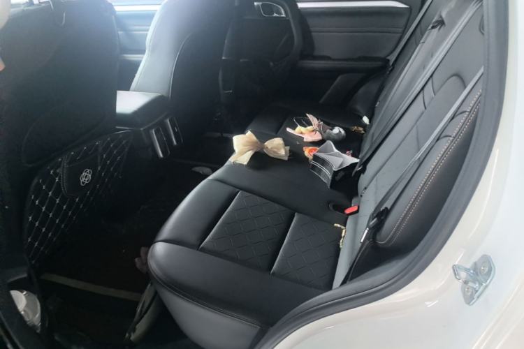Used Haval DARGO 2022 2.0T DCT 4x4 Chinese Rural Dog Edition Left Rear Seat