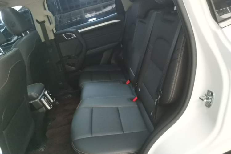 Used Haval DARGO 2022 2.0T DCT 4x4 Chinese Rural Dog Edition Left Rear Seat