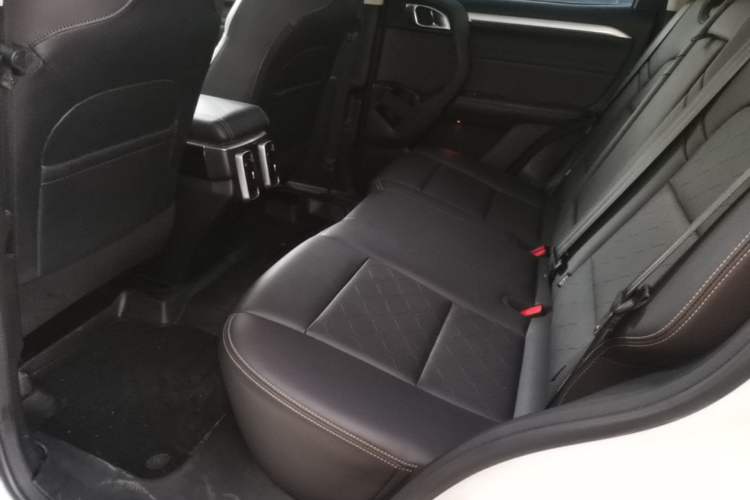 Used Haval DARGO 2022 1.5T DCT Two-Wheel Drive Mastiff Edition Left Rear Seat