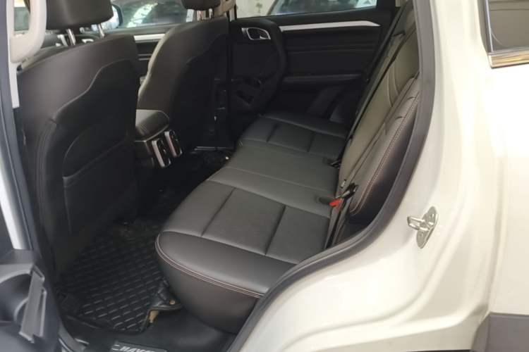 Used Haval DARGO 2022 2.0T DCT Two-Wheel Drive Huazhong Hound Edition Left Rear Seat