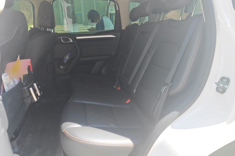 Used Haval DARGO 2022 1.5T DCT Two-Wheel Drive Border Collie Edition Left Rear Seat