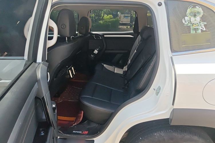Used Haval DARGO 2022 1.5T DCT Two-Wheel Drive Border Collie Edition Left Rear Seat