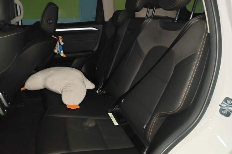 Used Haval DARGO 2022 2.0T DCT All-Wheel-Drive Xiaotianque Version Left Rear Seat