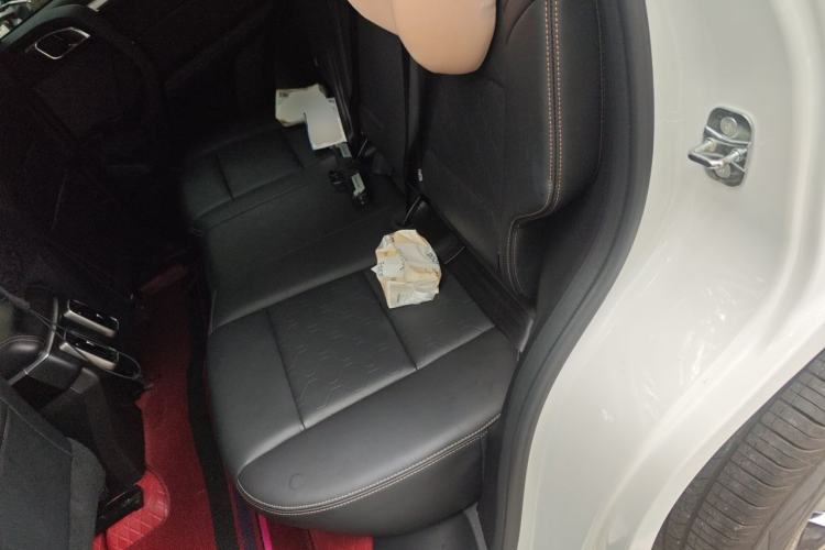 Used Haval DARGO 2022 1.5T DCT Two-Wheel Drive Border Collie Edition Left Rear Seat