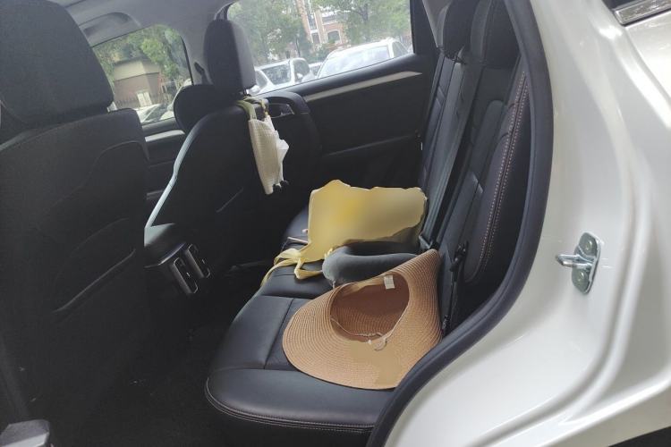 Used Haval DARGO 2022 1.5T DCT Two-Wheel Drive Border Collie Edition Left Rear Seat
