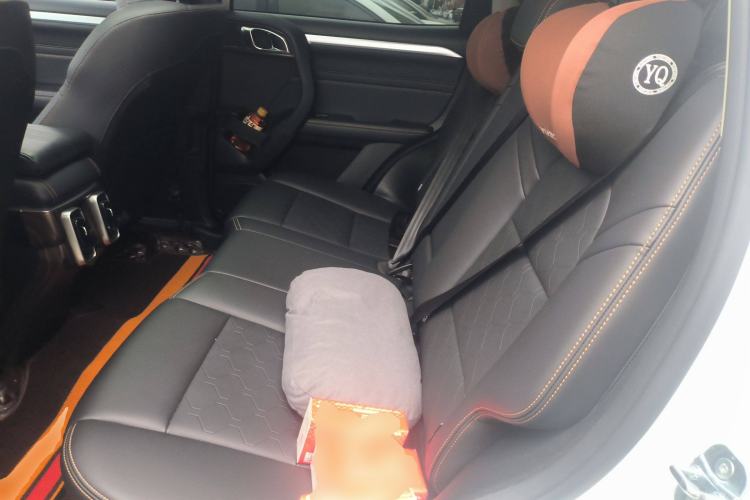 Used Haval DARGO 2022 1.5T DCT Two-Wheel Drive Border Collie Edition Left Rear Seat